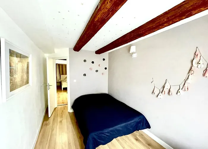 Strasbourg Magnifique Appartement Centre Ville Petite France