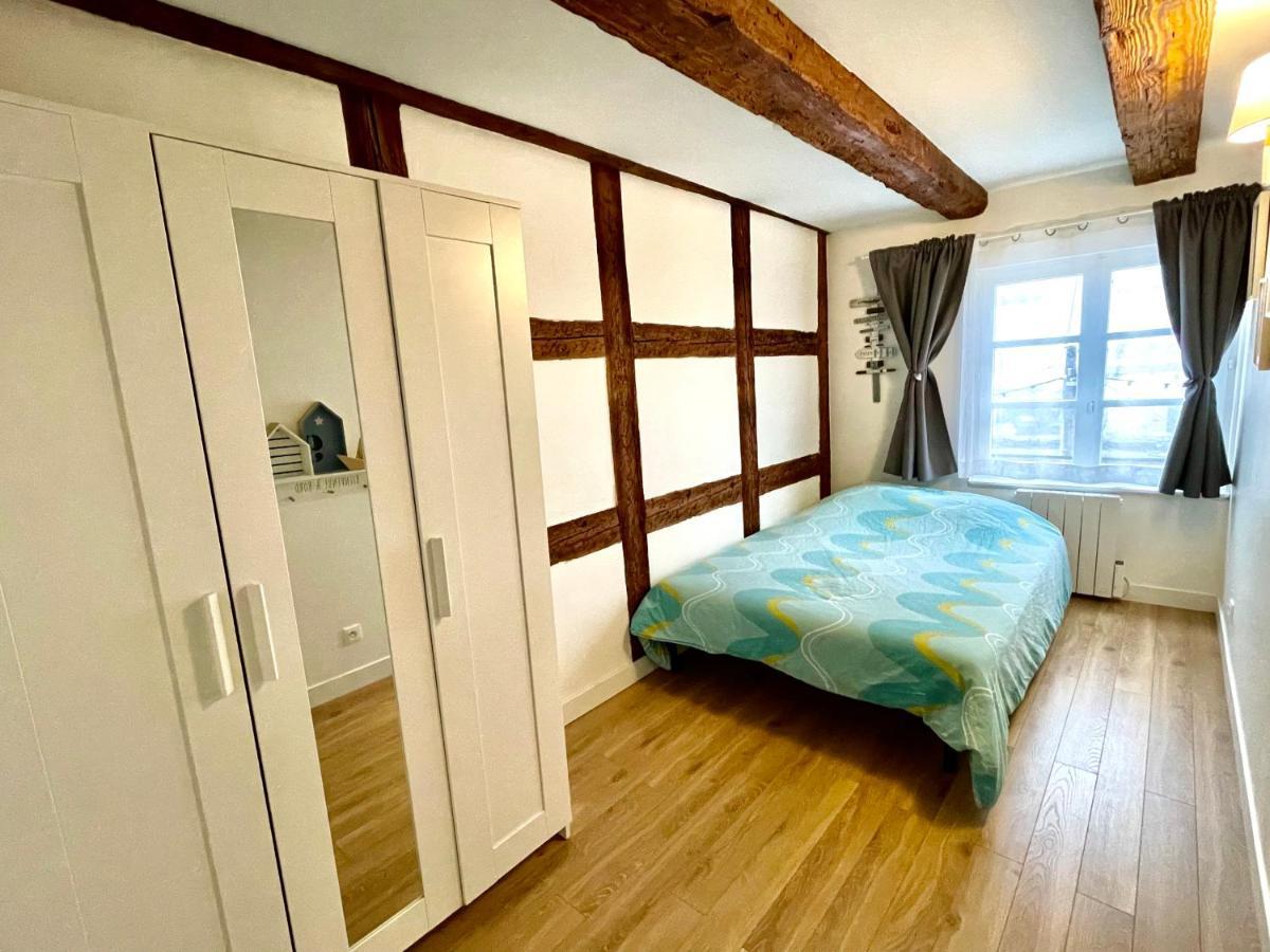 Magnifique Centre Petite France Appartement